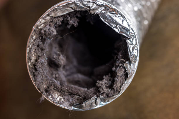 Best Affordable HVAC Duct Cleaning  in Dumas, TX